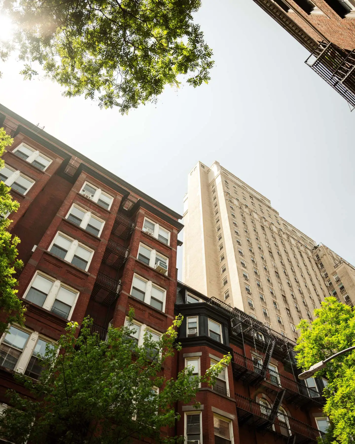 Looking up at red-brick New York apartment buildings framed by green trees